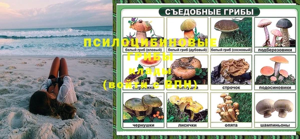 гашик Алзамай