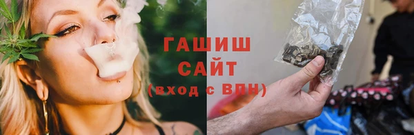гашик Алзамай