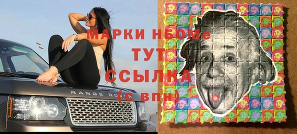 ешки Алексин
