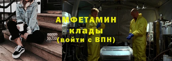 ешки Алексин