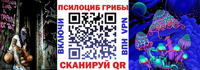 блэк спрут Любань Галлюциногенные грибы Psilocybe
