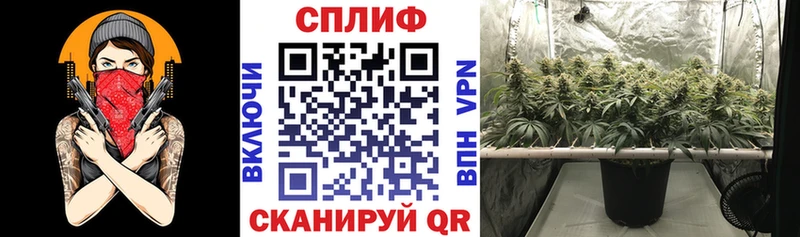 Шишки марихуана White Widow купить наркотик Любань